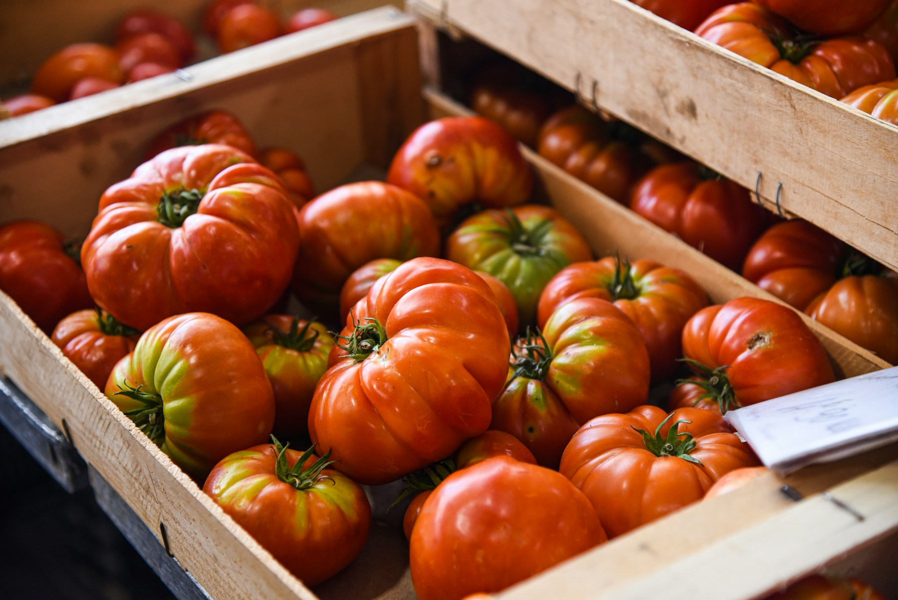 Crates of ripe heirloom tomatoes available at midsummer farmers markets