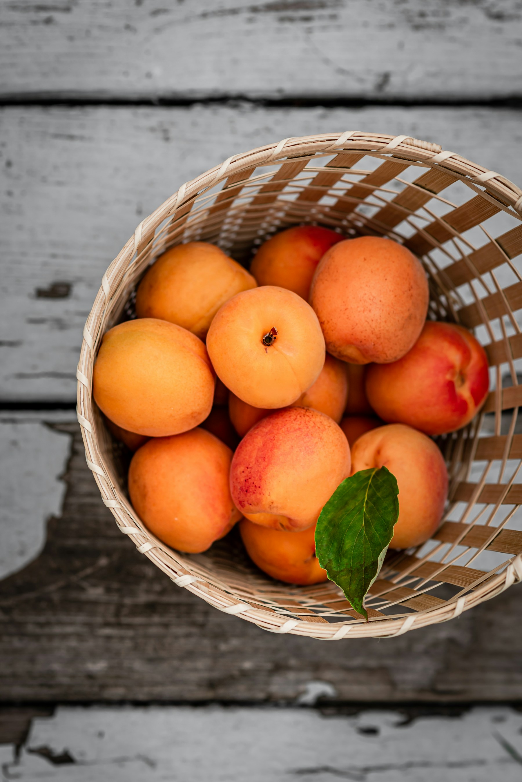 A market basket filled with ripe peaches and apricots